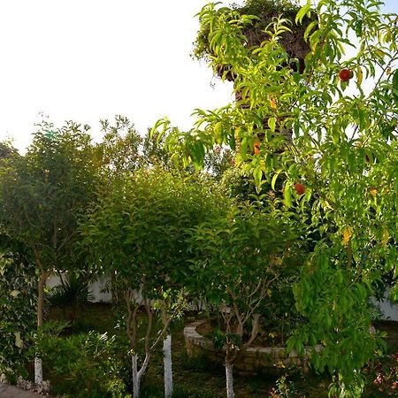 Kostas' Garden Daire Roda  Dış mekan fotoğraf
