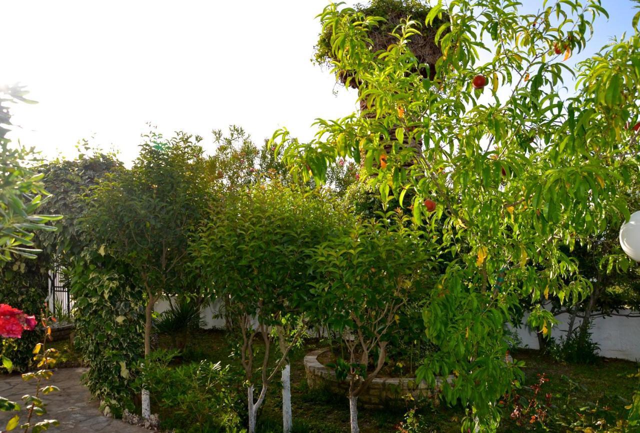 Kostas' Garden Daire Roda  Dış mekan fotoğraf